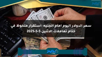 سعر الدولار اليوم أمام الجنيه: استقرار ملحوظ في ختام تعاملات الاثنين 5-5-2025